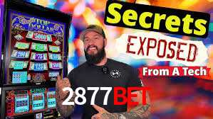 2877bet.com