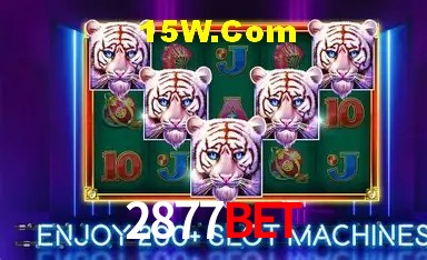 Estatísticas do Jogo 2877bet